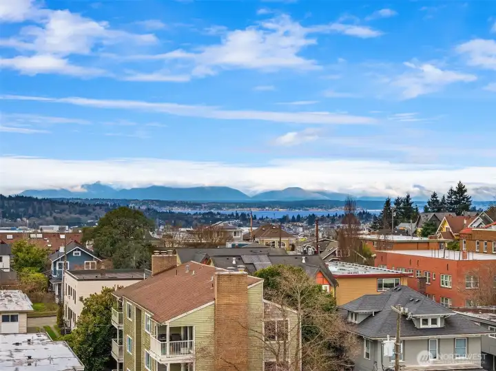 Potential Rooftop Views