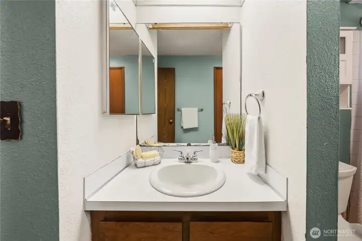 Closer view of the vanity.