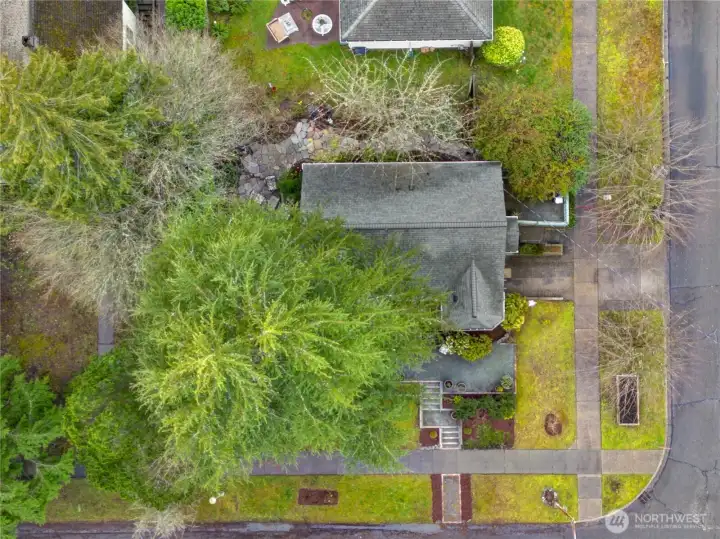 From above, the generous corner lot comes into full view—surrounded by a canopy of trees that creates a sense of space, shade, and natural privacy.