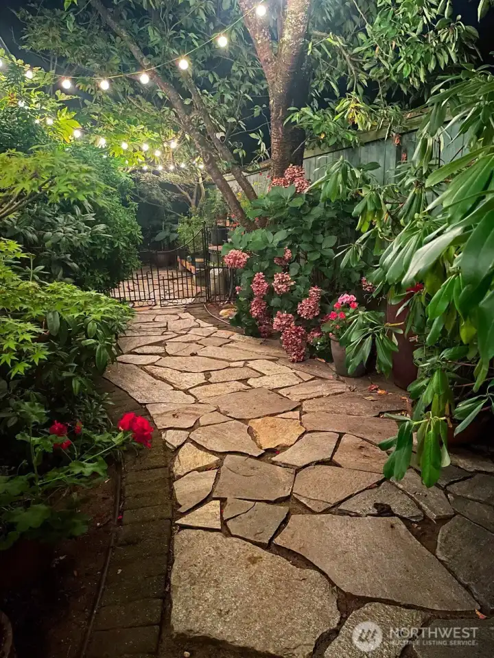 As evening falls, string lights glow overhead—transforming the backyard into a magical, tree-lined retreat. Photo provided by owner to illustrate seasonal landscaping as it matures and blooms.