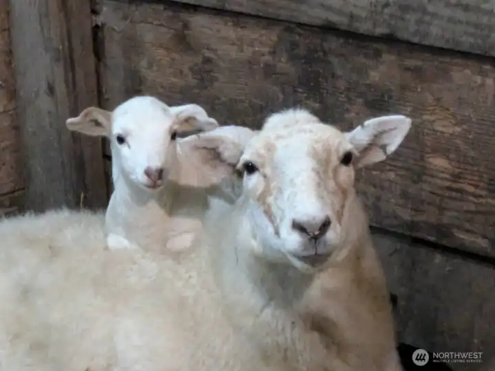 this home is great for entertaining