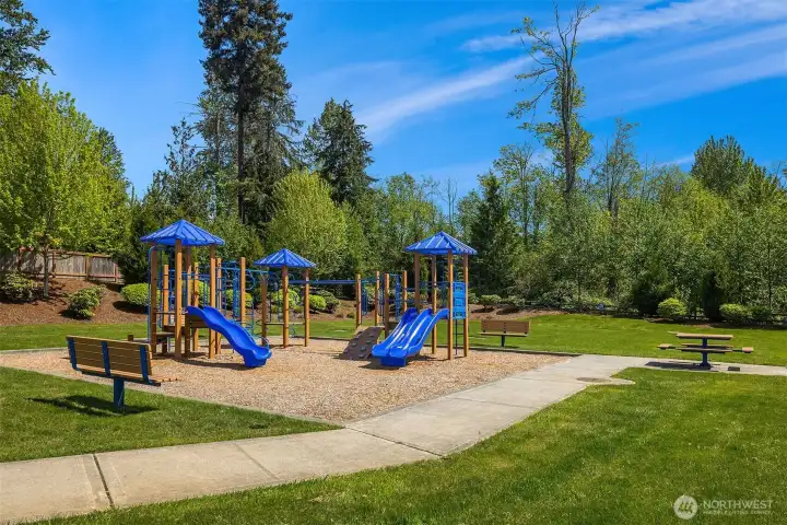 Community Playground