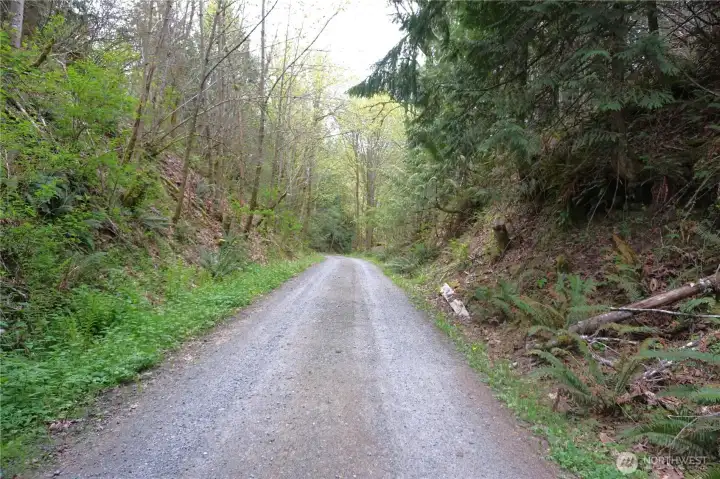 Property on both sides, leading to driveway on R.side.