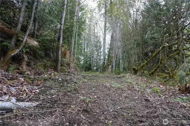 NW area of property. Old road leading up to secondary potential build site.