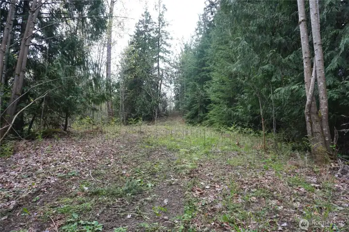 Secondary potential building site.