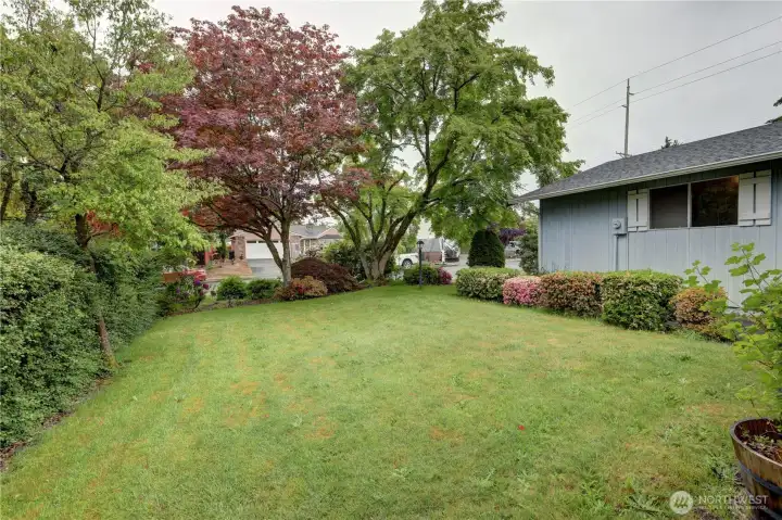 Front yard Front yard