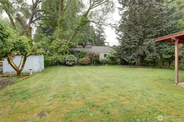 Backyard Backyard