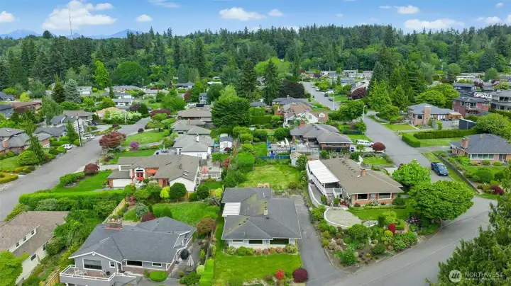Another neighborhood view.
