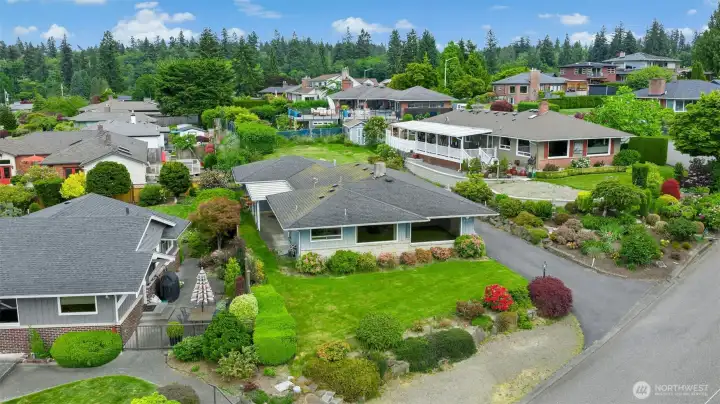 Lovely yard.
