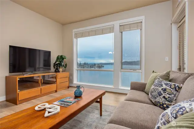 Whales, eagles, and seals - have all been seen from this living room!