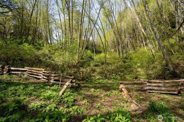 Property extends well beyond the split rail fence built by the sellers.
