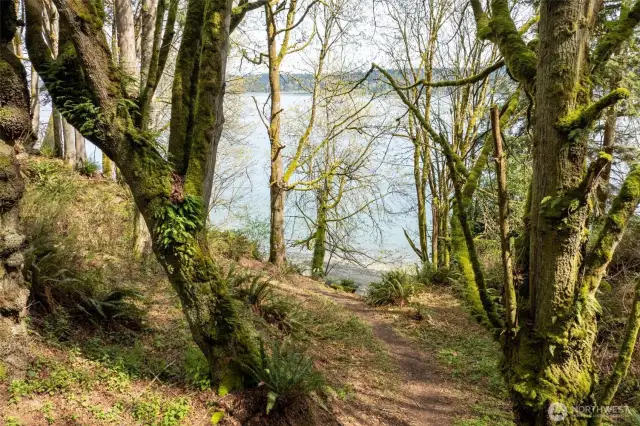 Trail down to the water