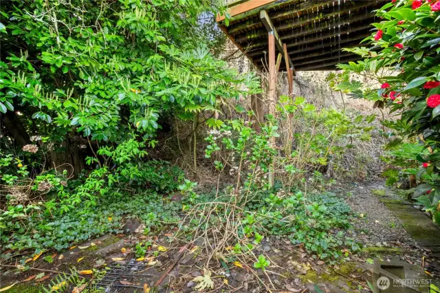 SW lot area for gardening