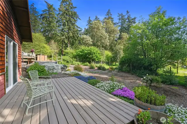 The ADU on  M st. is it's own little world, set behind the main residence just enough to allow privacy and it's own back yard sanctuary. patio and mature plantings make for an ideal rental or longer term guest quarters. Self containted and stylish to boot.