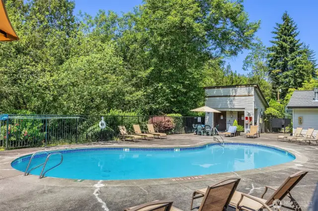Lounge chairs and shaded areas make this space perfect for relaxing on warm summer days or taking a break between swims.