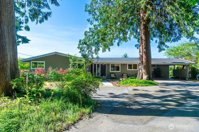 Spacious daylight rambler with mid-century modern vibes and spectacular views!