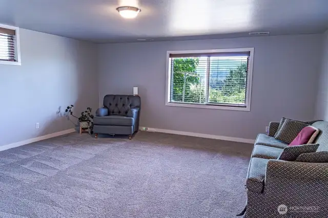 Large 4th bedroom downstairs