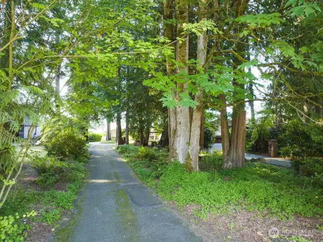 Beautiful treelined entry offers privacy.