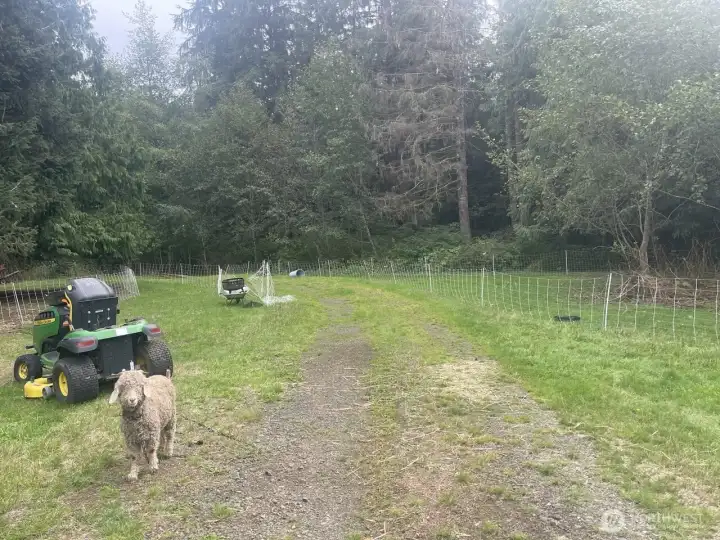 Nice flat acres