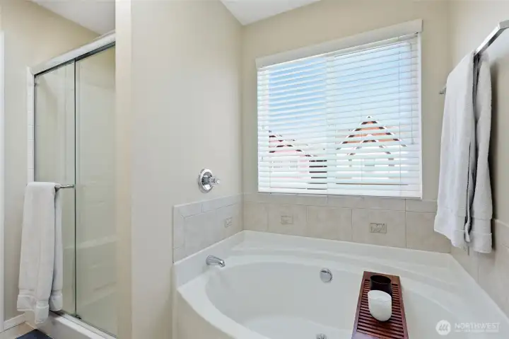 Large soaking tub and glass-door walk-in shower provide inviting options for daily care and relaxation, with amazing natural light as well.
