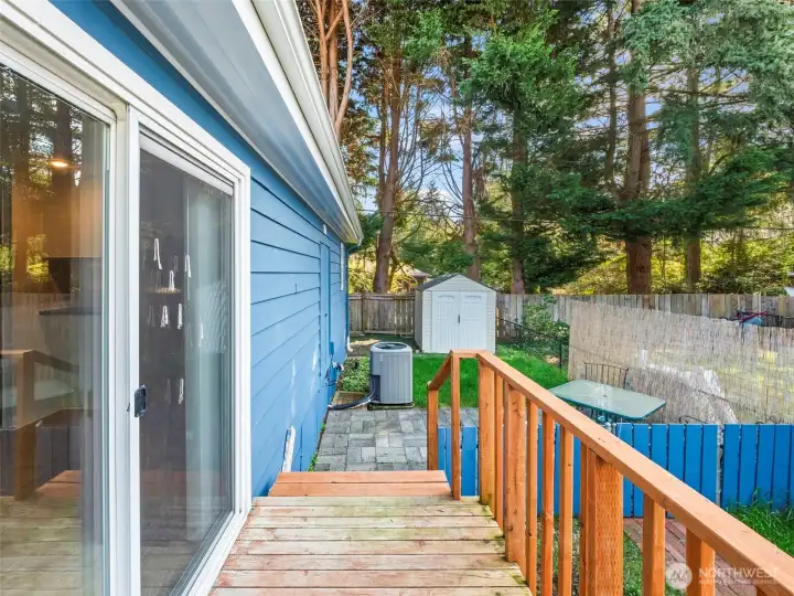 Side yard off kitchen