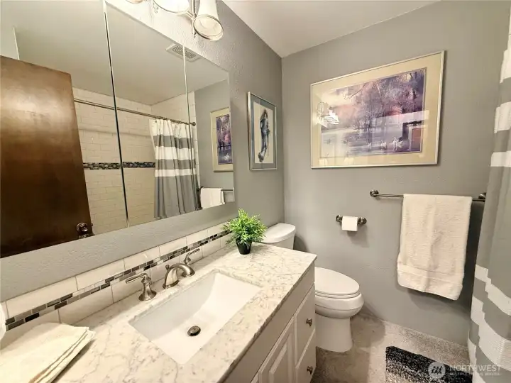 Guest bathroom.