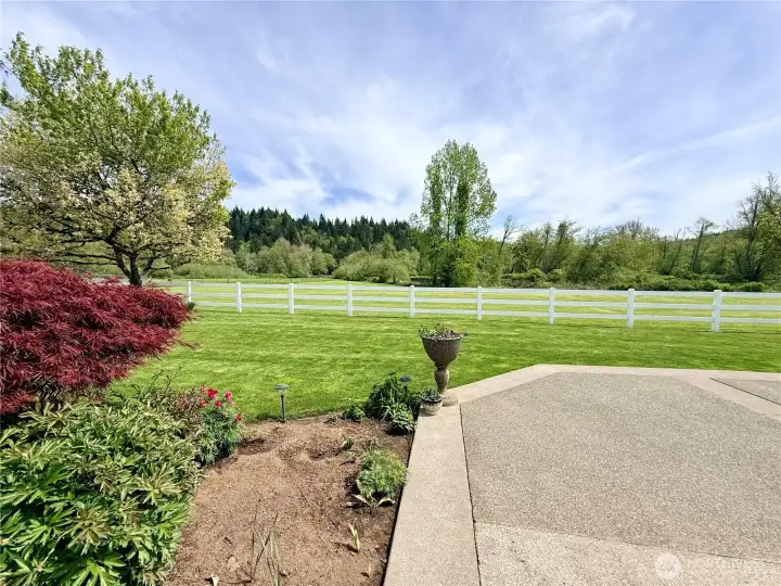 A view of the back yard/ pasture from the patio