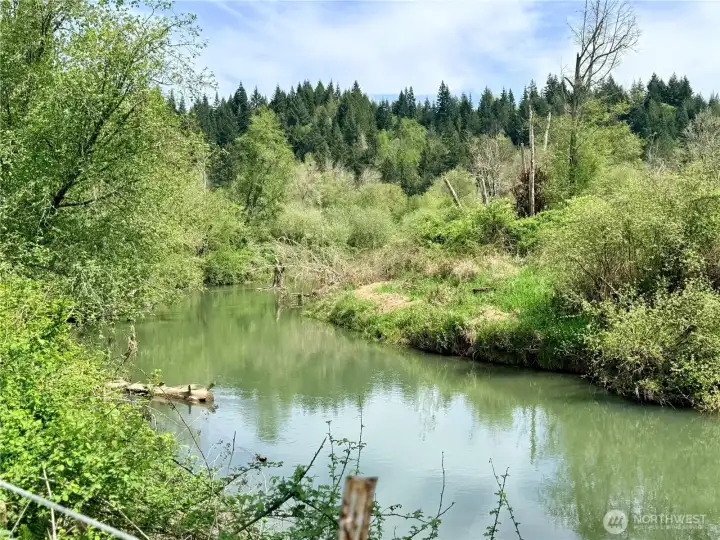 Another view of Skookumchuck River from the backyard.