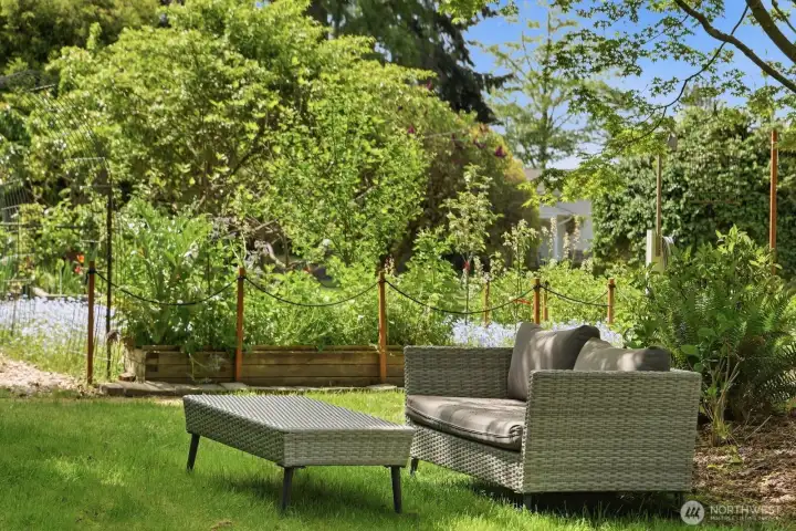 This shaded glen is great for relaxing in during the height of summer heat, with dappled shade and rustling leaves all around you.