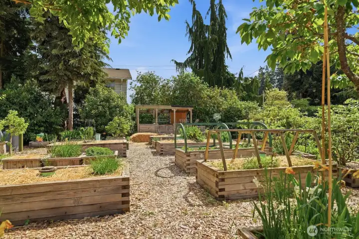 Raised garden beds await your veggie and herb starts!