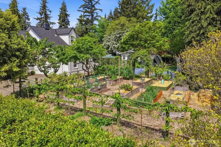 Apple and pear trees are expected to produce fruit this year.
