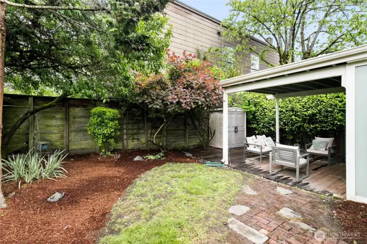 Backyard covered patio Backyard covered patio