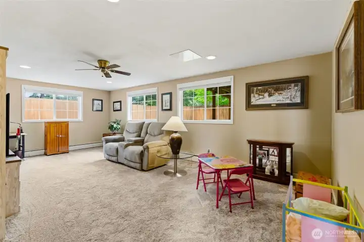 Lower level living area.