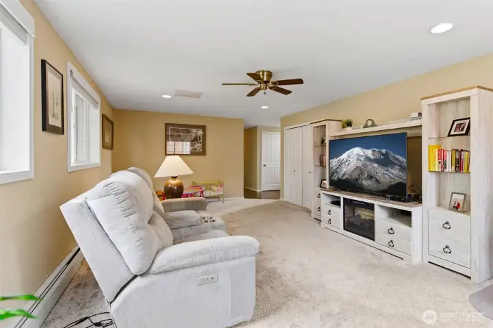 Lower level living area.