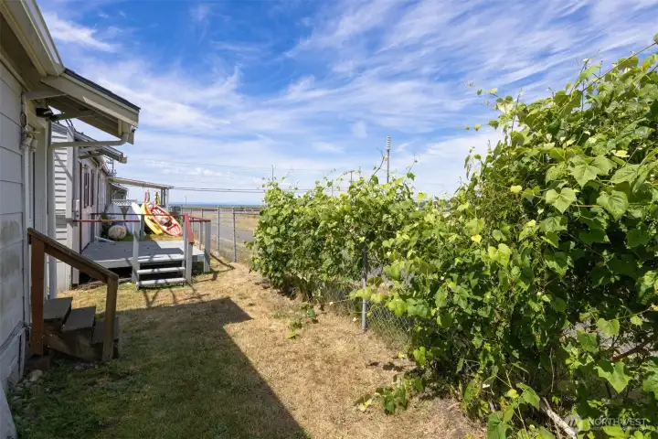 Build a deck and enjoy Bay views
