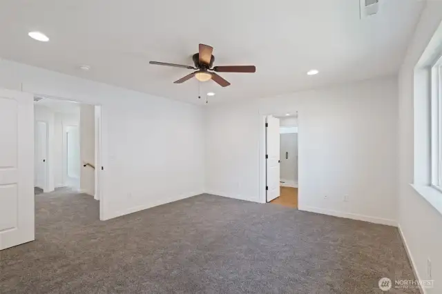 Primary, ceiling fan
