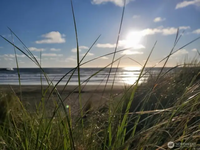 Beach life