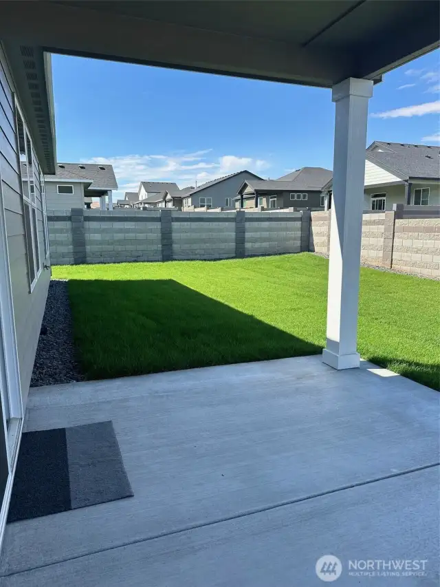 Backyard Patio