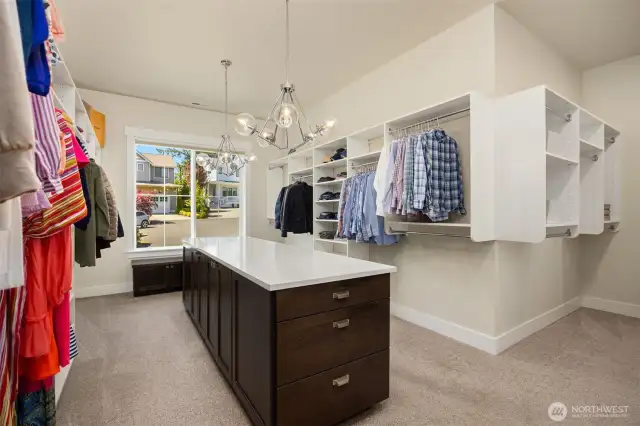 The closet in the primary bedroom is a room in-and-of-itself. Ample, ample storage is in this fabulous space plus a washer and dryer.