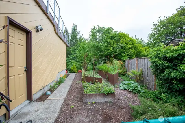 Side yard with raised gardens