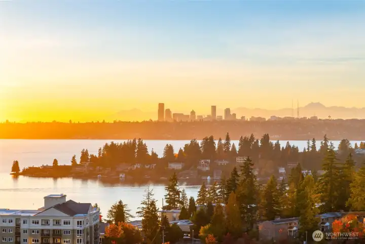Views across the park to Meydenbauer Bay