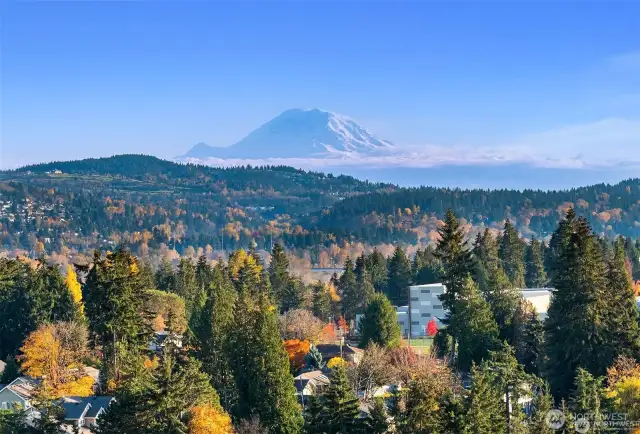 Mount Rainier views from the dining room and living room