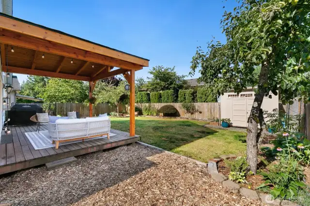 Fruit trees, blueberries and more!