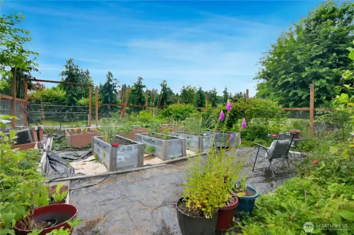 Garden
