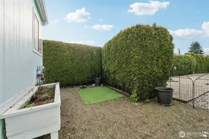 Semi-private yard area