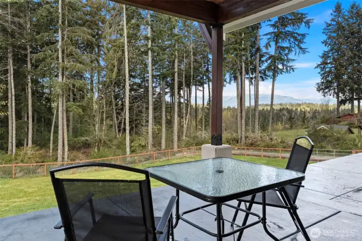 View from covered back porch