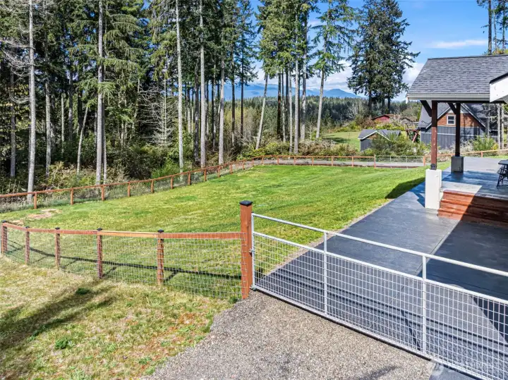 View from fenced back yard