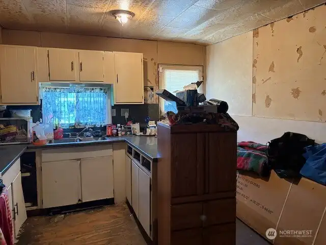 Kitchen and back door