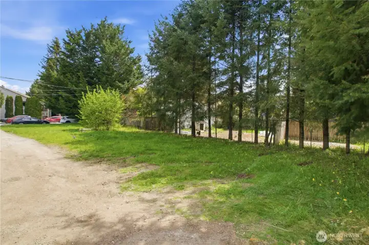 Here is a view of the lot looking towards the street.