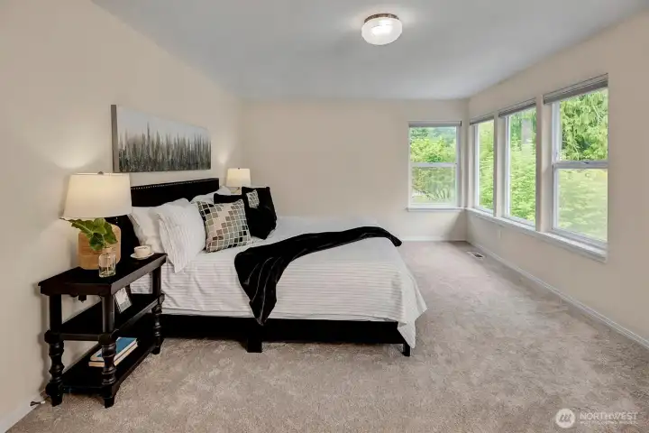 Primary bedroom and more views!  Top-down, bottom-up blinds allow you to control light and privacy.